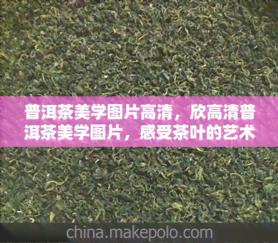 普洱茶美学图片高清，欣高清普洱茶美学图片，感受茶叶的艺术魅力！