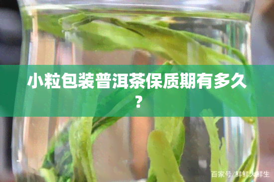 小粒包装普洱茶保质期有多久？