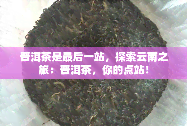 普洱茶是最后一站，探索云南之旅：普洱茶，你的点站！