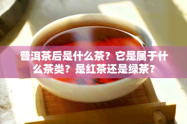 普洱茶后是什么茶？它是属于什么茶类？是红茶还是绿茶？