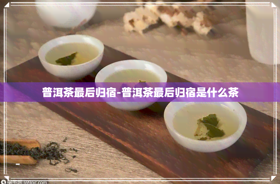 普洱茶最后归宿-普洱茶最后归宿是什么茶