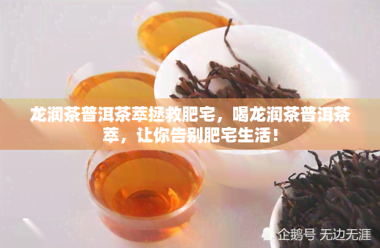 龙润茶普洱茶萃拯救肥宅，喝龙润茶普洱茶萃，让你告别肥宅生活！