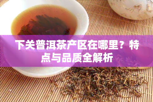 下关普洱茶产区在哪里？特点与品质全解析