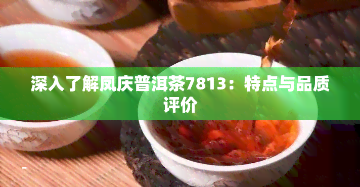 深入了解凤庆普洱茶7813：特点与品质评价