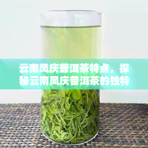 云南凤庆普洱茶特点，探秘云南凤庆普洱茶的独特魅力