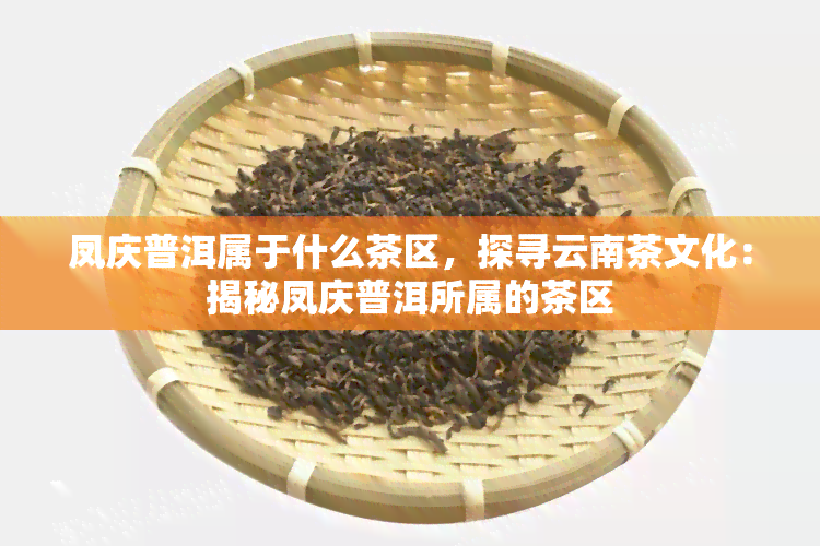 凤庆普洱属于什么茶区，探寻云南茶文化：揭秘凤庆普洱所属的茶区