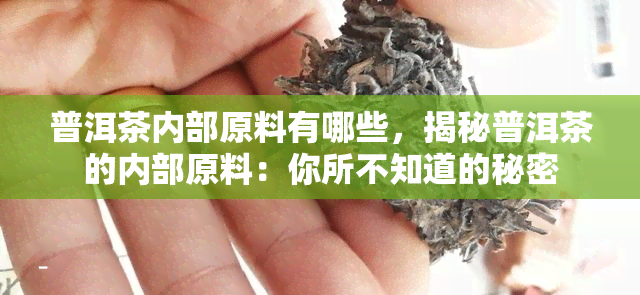 普洱茶内部原料有哪些，揭秘普洱茶的内部原料：你所不知道的秘密