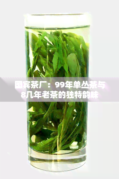 国宾茶厂：99年单丛茶与8几年老茶的独特韵味