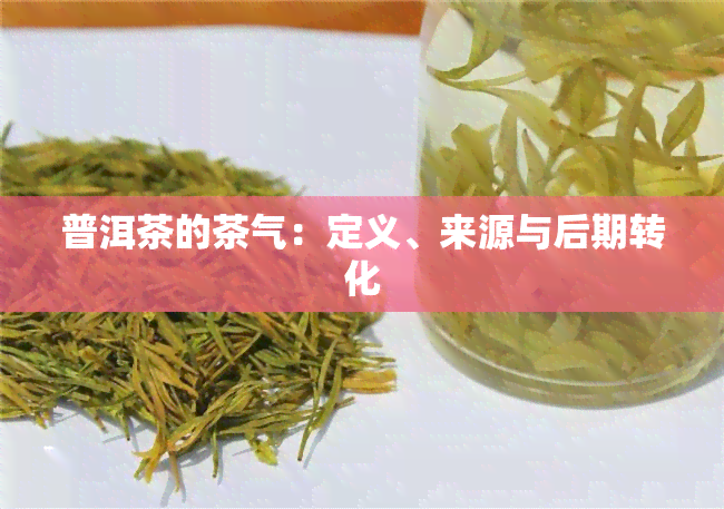 普洱茶的茶气：定义、来源与后期转化