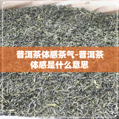 普洱茶体感茶气-普洱茶体感是什么意思