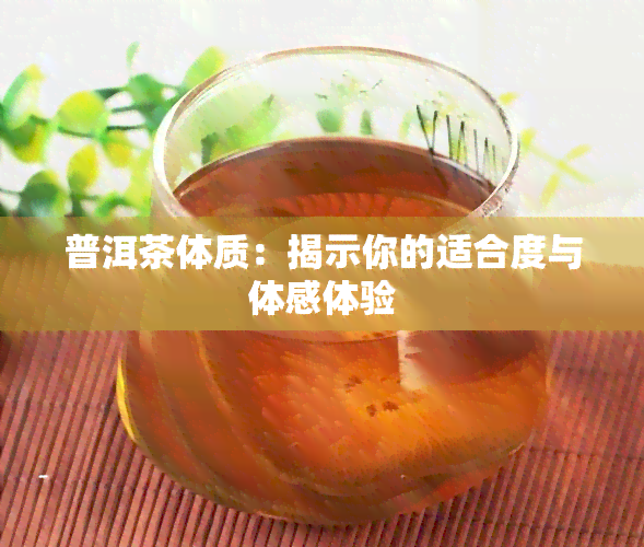 普洱茶体质：揭示你的适合度与体感体验