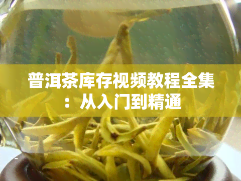 普洱茶库存视频教程全集：从入门到精通