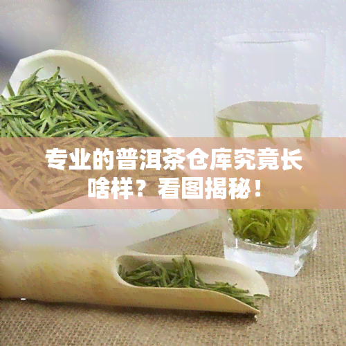 专业的普洱茶仓库究竟长啥样？看图揭秘！