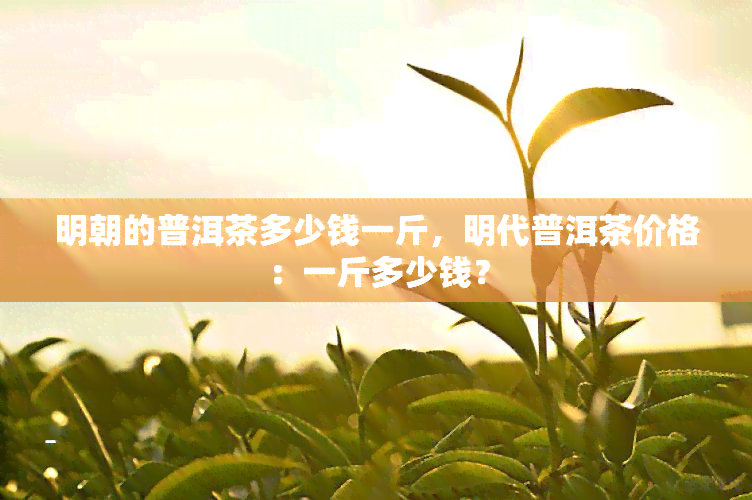 明朝的普洱茶多少钱一斤，明代普洱茶价格：一斤多少钱？