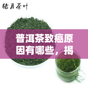 普洱茶致癌原因有哪些，揭秘普洱茶致癌原因：你需要知道的事实