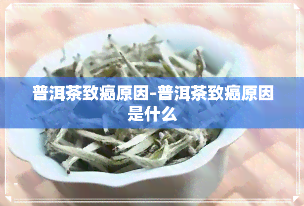 普洱茶致癌原因-普洱茶致癌原因是什么