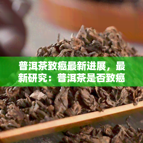 普洱茶致癌最新进展，最新研究：普洱茶是否致癌？科学解析