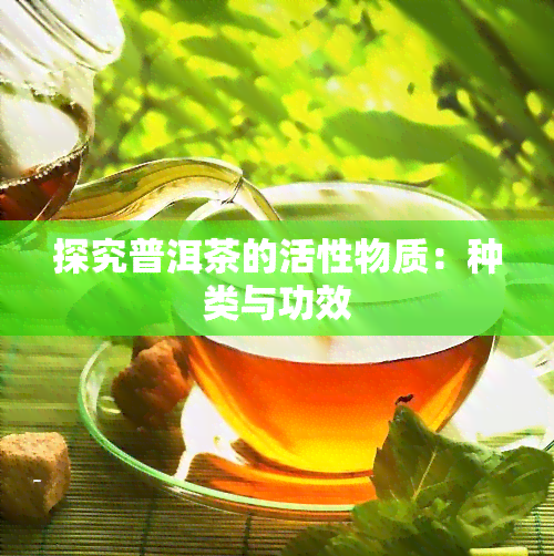 探究普洱茶的活性物质：种类与功效