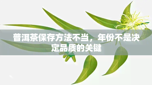 普洱茶保存方法不当，年份不是决定品质的关键