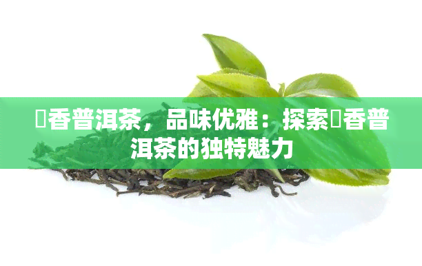 檽香普洱茶，品味优雅：探索檽香普洱茶的独特魅力