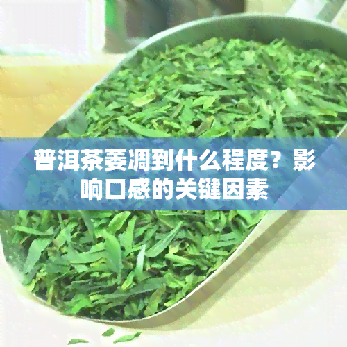 普洱茶萎凋到什么程度？影响口感的关键因素