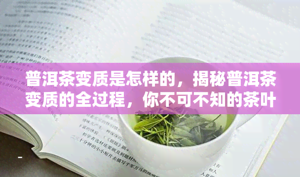 普洱茶变质是怎样的，揭秘普洱茶变质的全过程，你不可不知的茶叶保存知识！