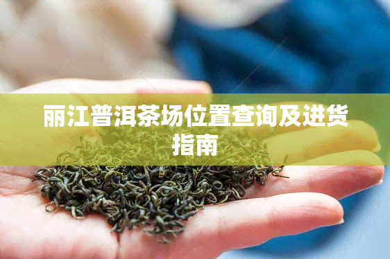 丽江普洱茶场位置查询及进货指南