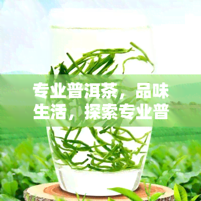 专业普洱茶，品味生活，探索专业普洱茶的世界