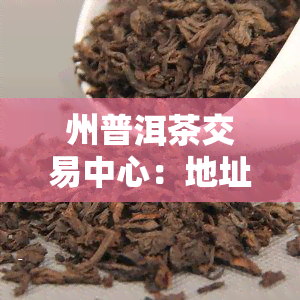 州普洱茶交易中心：地址与官网全攻略