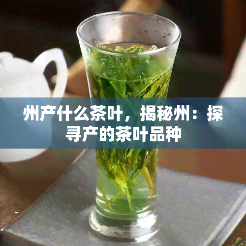 州产什么茶叶，揭秘州：探寻产的茶叶品种