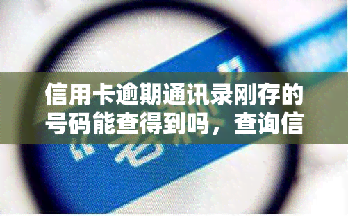 信用卡逾期通讯录刚存的号码能查得到吗，查询信用卡逾期通讯录：新存号码能否被查到？