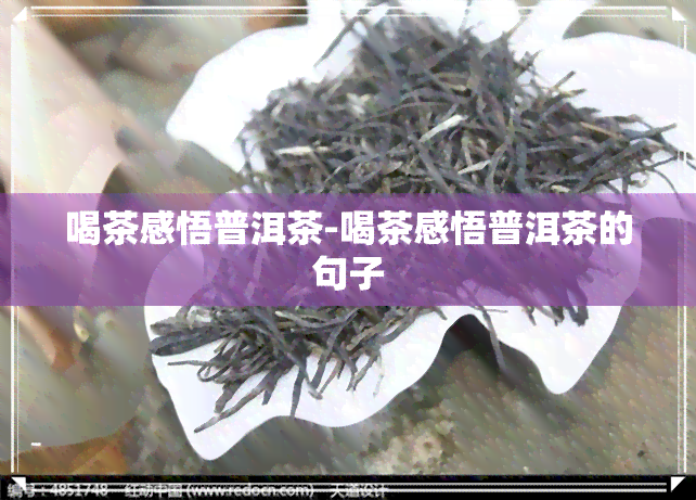 喝茶感悟普洱茶-喝茶感悟普洱茶的句子