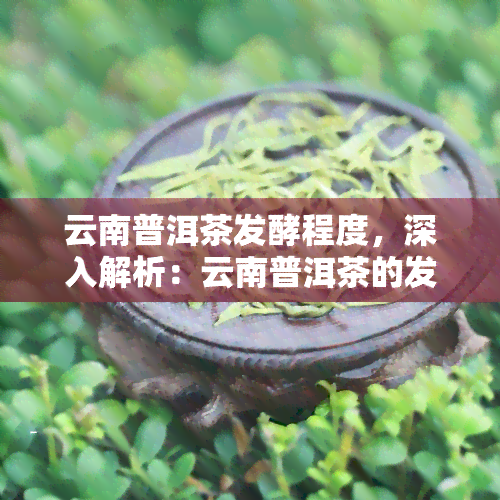 云南普洱茶发酵程度，深入解析：云南普洱茶的发酵程度与其品质的关系