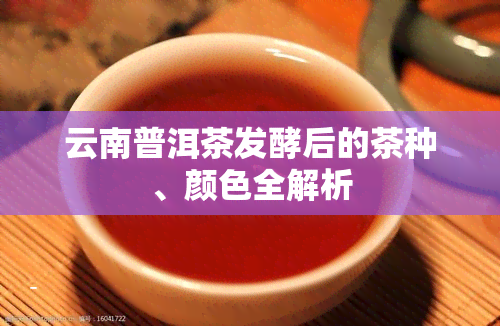 云南普洱茶发酵后的茶种、颜色全解析