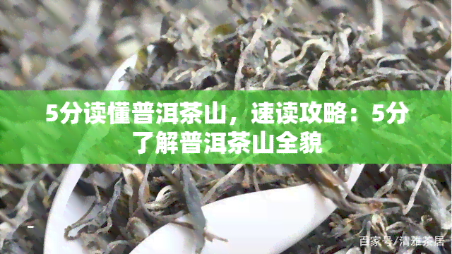 5分读懂普洱茶山，速读攻略：5分了解普洱茶山全貌