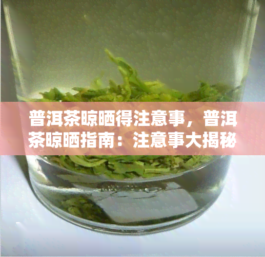 普洱茶晾晒得注意事，普洱茶晾晒指南：注意事大揭秘