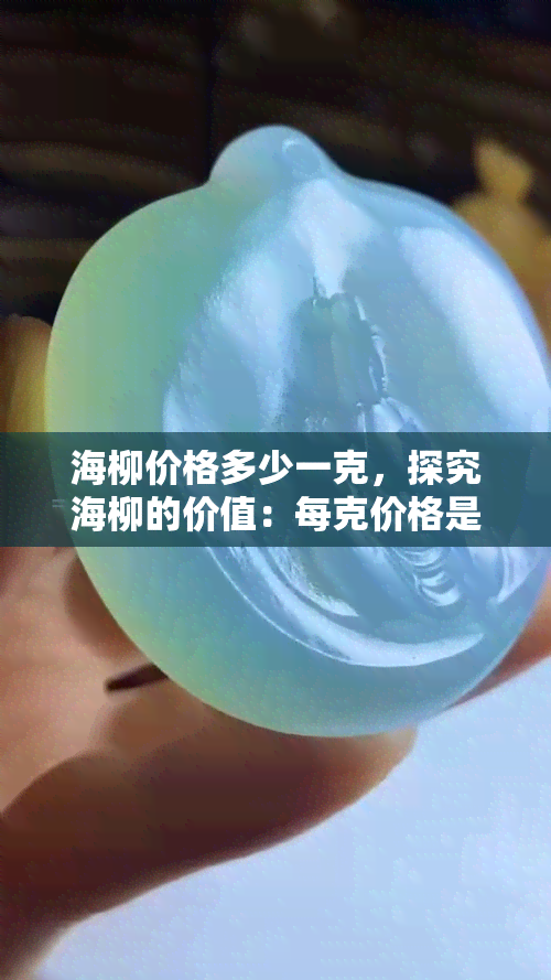 海柳价格多少一克，探究海柳的价值：每克价格是多少？