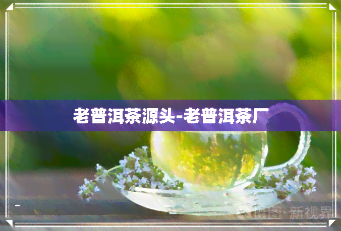 老普洱茶源头-老普洱茶厂