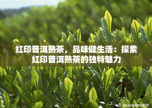 红印普洱熟茶，品味健生活：探索红印普洱熟茶的独特魅力