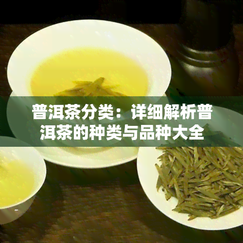 普洱茶分类：详细解析普洱茶的种类与品种大全