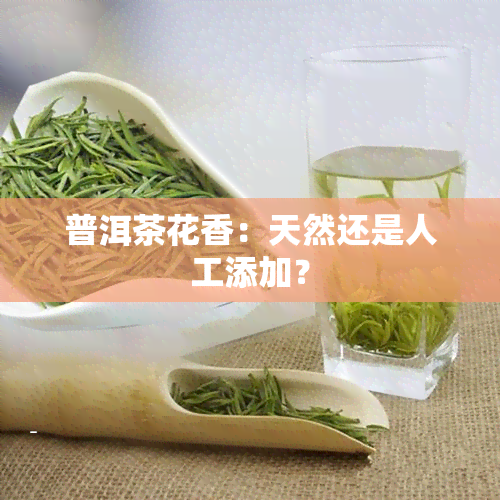 普洱茶花香：天然还是人工添加？