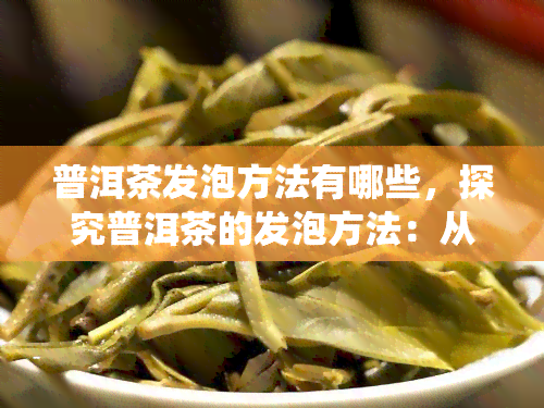 普洱茶发泡方法有哪些，探究普洱茶的发泡方法：从传统到现代的各种技巧