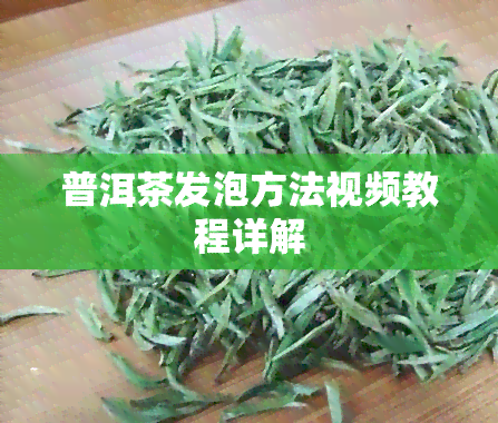 普洱茶发泡方法视频教程详解