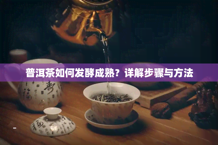 普洱茶如何发酵成熟？详解步骤与方法