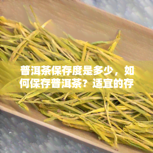 普洱茶保存度是多少，如何保存普洱茶？适宜的存度是多少？