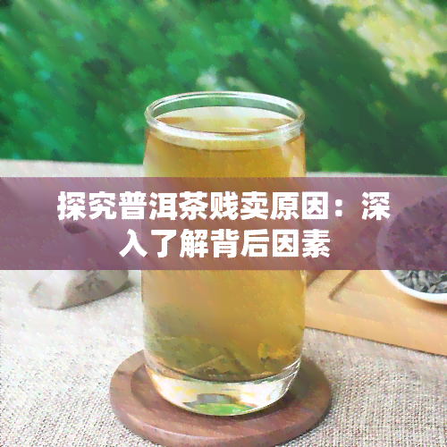 探究普洱茶贱卖原因：深入了解背后因素