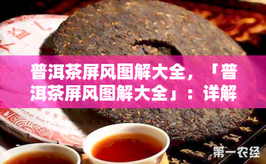 普洱茶屏风图解大全，「普洱茶屏风图解大全」：详解普洱茶的艺术与魅力