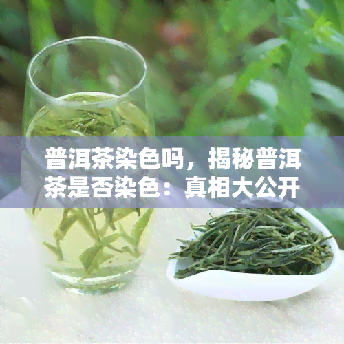 普洱茶染色吗，揭秘普洱茶是否染色：真相大公开！