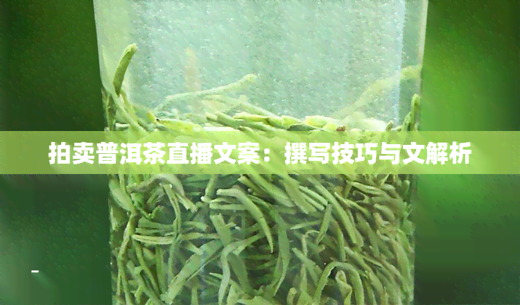 拍卖普洱茶直播文案：撰写技巧与文解析