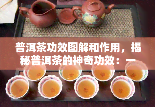 普洱茶功效图解和作用，揭秘普洱茶的神奇功效：一份全面详细的图解与作用解析